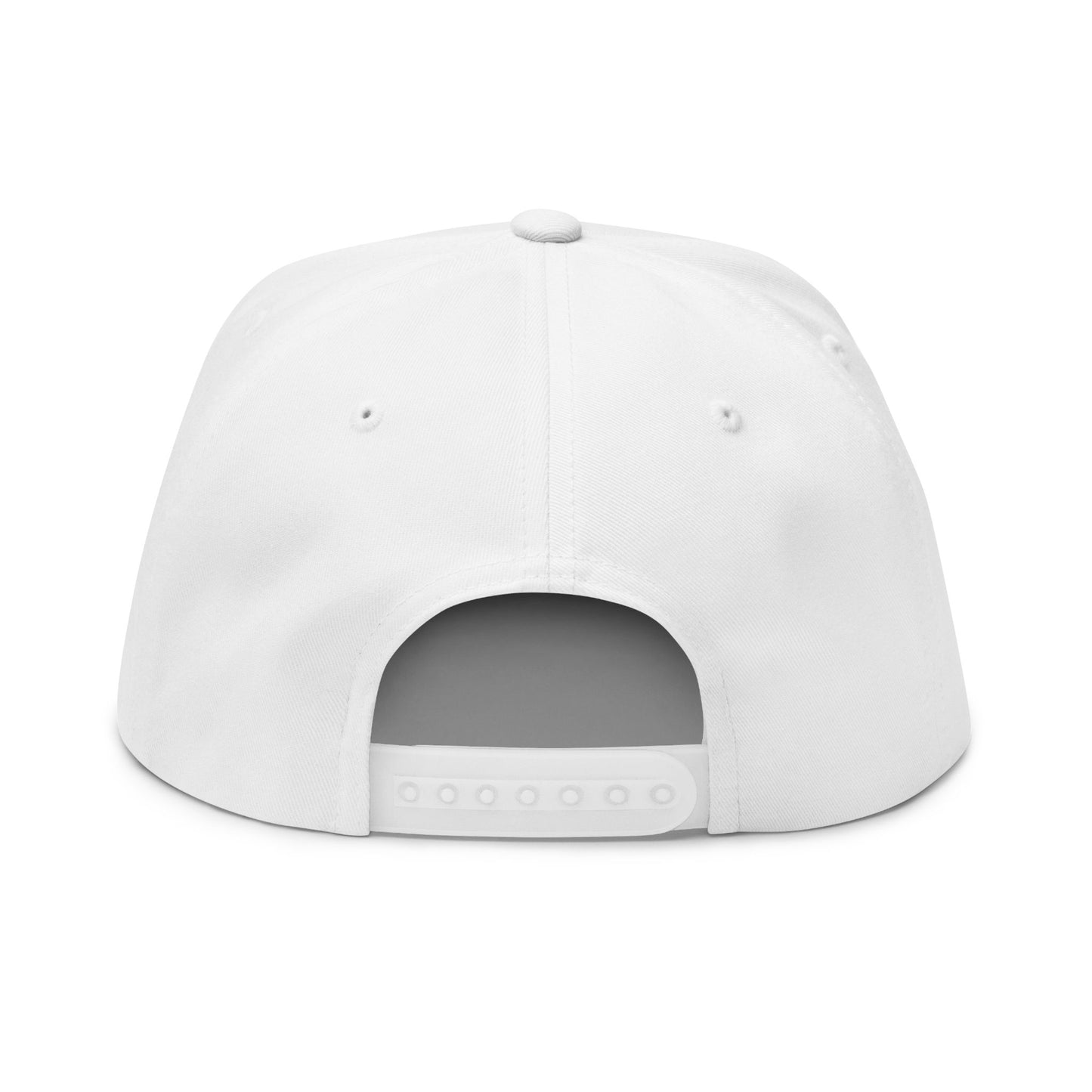 Drink Responsibly 5P Snapback